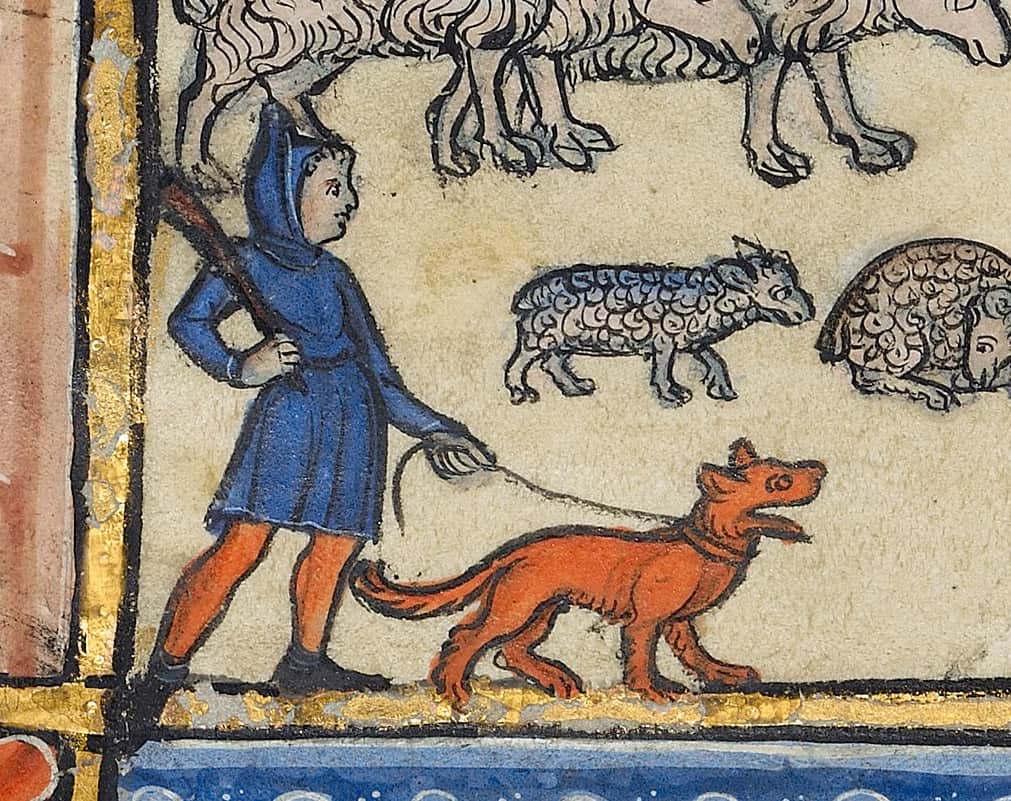Shepherd with a red dog on a leash.