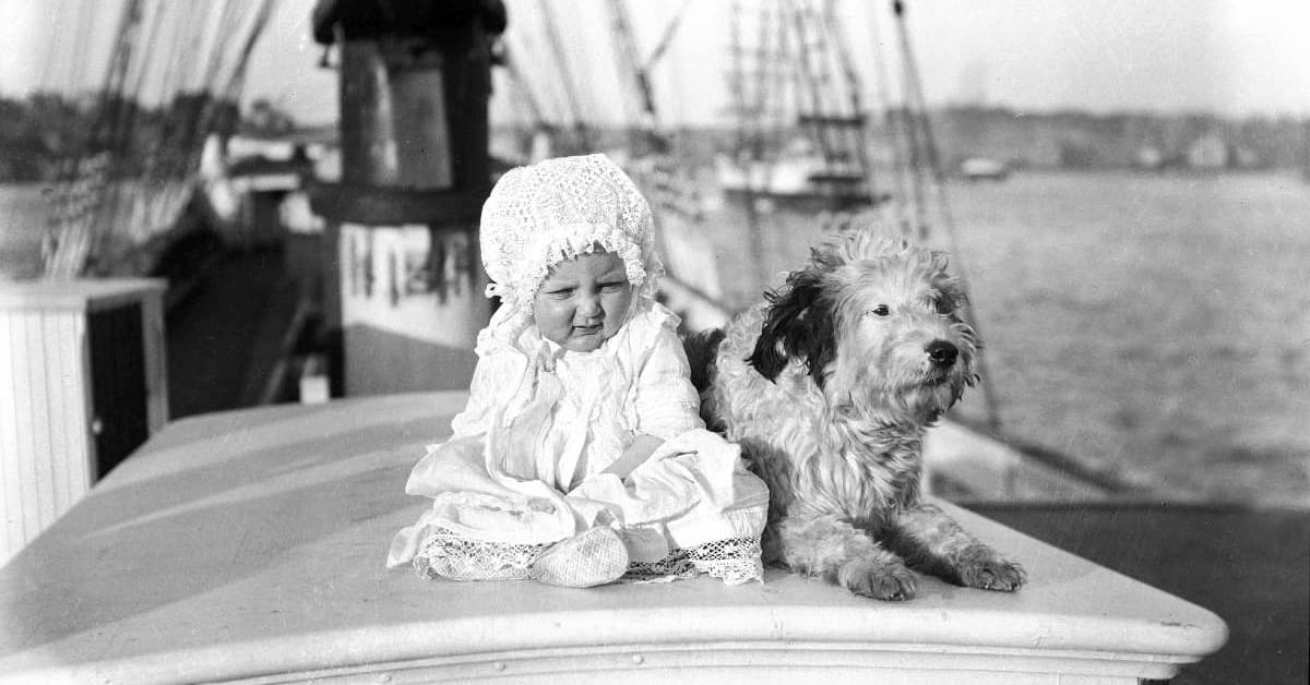 Boat Dogs – 20th Century Nautical Cuteness