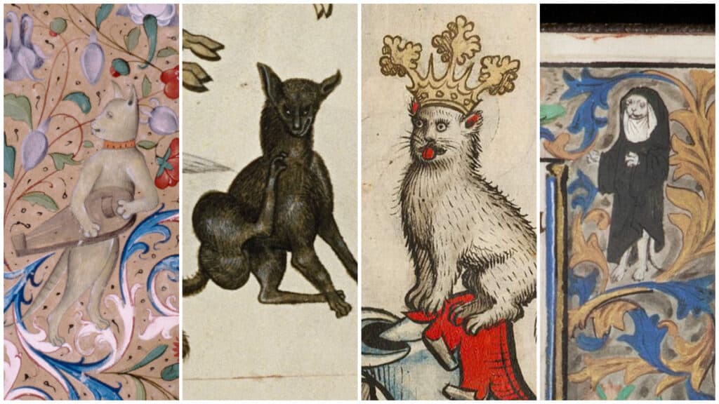 A collage of medieval cats.