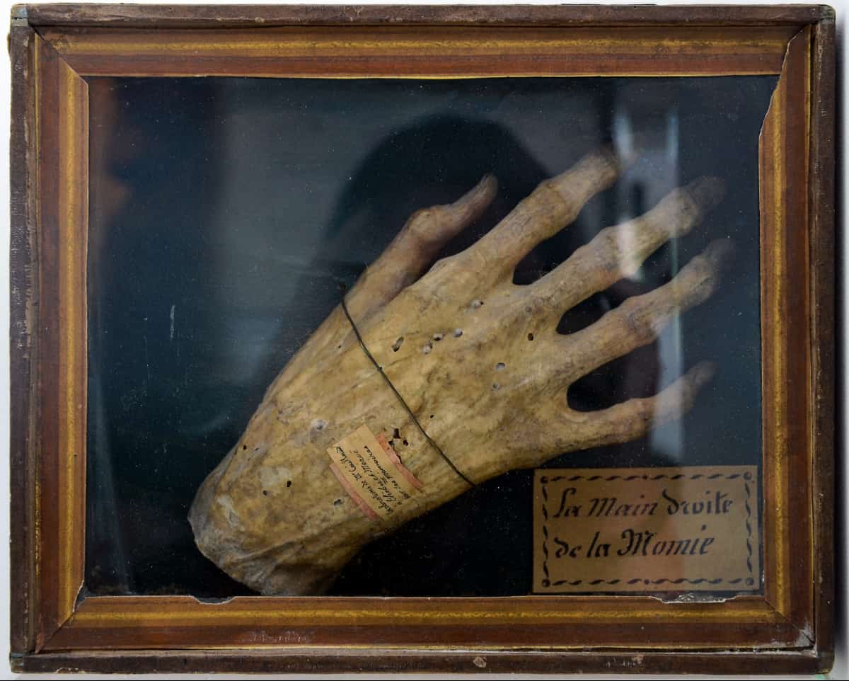 Mummy Hand From Ancient Egypt
